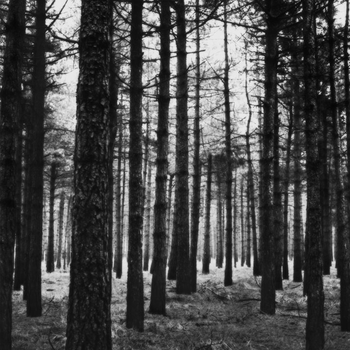 Martin C de Waal - Untitled (2011)